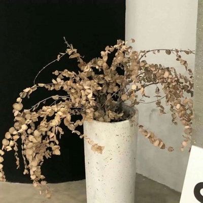 兽设四季场景设计福瑞群